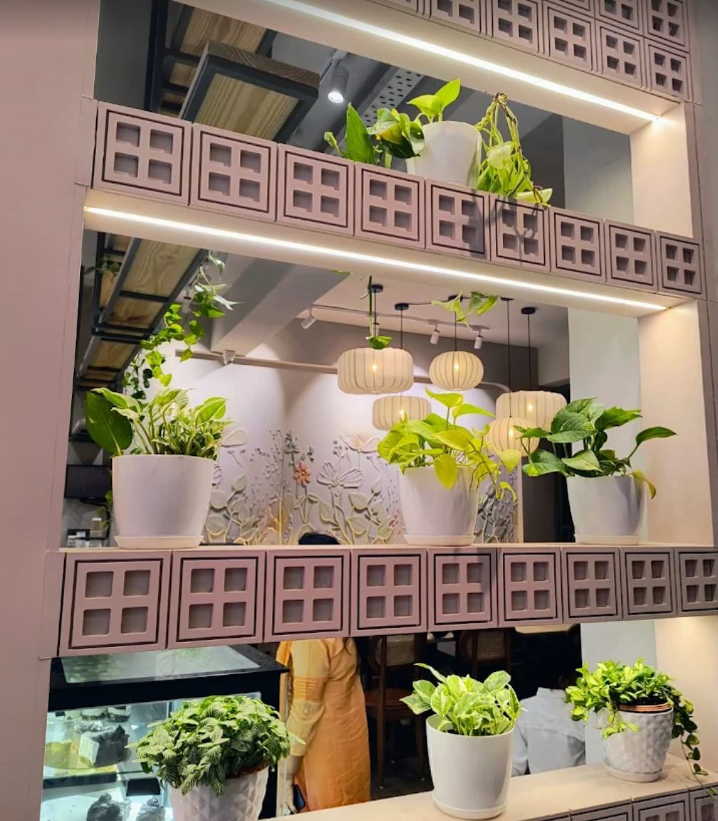 Plant-filled illuminated shelf inside Cafe Dolcezza